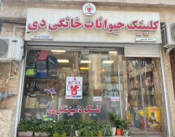 کلینیک دی